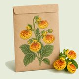 Kraft seed packet illustrated with Red and Yellow Lady's Purse, with fresh Red and Yellow Lady's Purse beside it