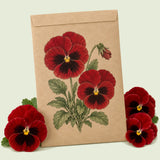 Kraft seed packet illustrated with Red Blotch Pansy, with fresh Red Blotch Pansy beside it