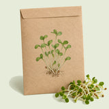 Kraft seed packet illustrated with Red Clover Sprouts, with fresh Red Clover Sprouts beside it