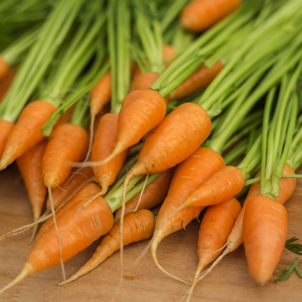 Seed packet for red cored chantenay carrot seeds