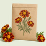 Kraft seed packet illustrated with Red Metamorph French Marigold, with fresh Red Metamorph French Marigold beside it