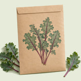 Kraft seed packet illustrated with Red Russian Kale Baby Greens, with fresh Red Russian Kale Baby Greens beside it
