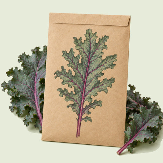 Kraft seed packet illustrated with Red Russian Kale, with fresh Red Russian Kale beside it