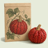 Kraft seed packet illustrated with Red Warty Thing Pumpkin, with fresh Red Warty Thing Pumpkin beside it