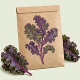 Kraft seed packet illustrated with Redbor Kale, with fresh Redbor Kale beside it