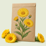 Kraft seed packet illustrated with Resina Calendula, with fresh Resina Calendula beside it