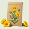 Kraft seed packet illustrated with Resina Calendula, with fresh Resina Calendula beside it