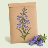 Kraft seed packet illustrated with Rocky Mountain Blue Penstemon, with fresh Rocky Mountain Blue Penstemon beside it