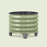 Rolling Citrus Planter, 20 Gallons on a soft green background