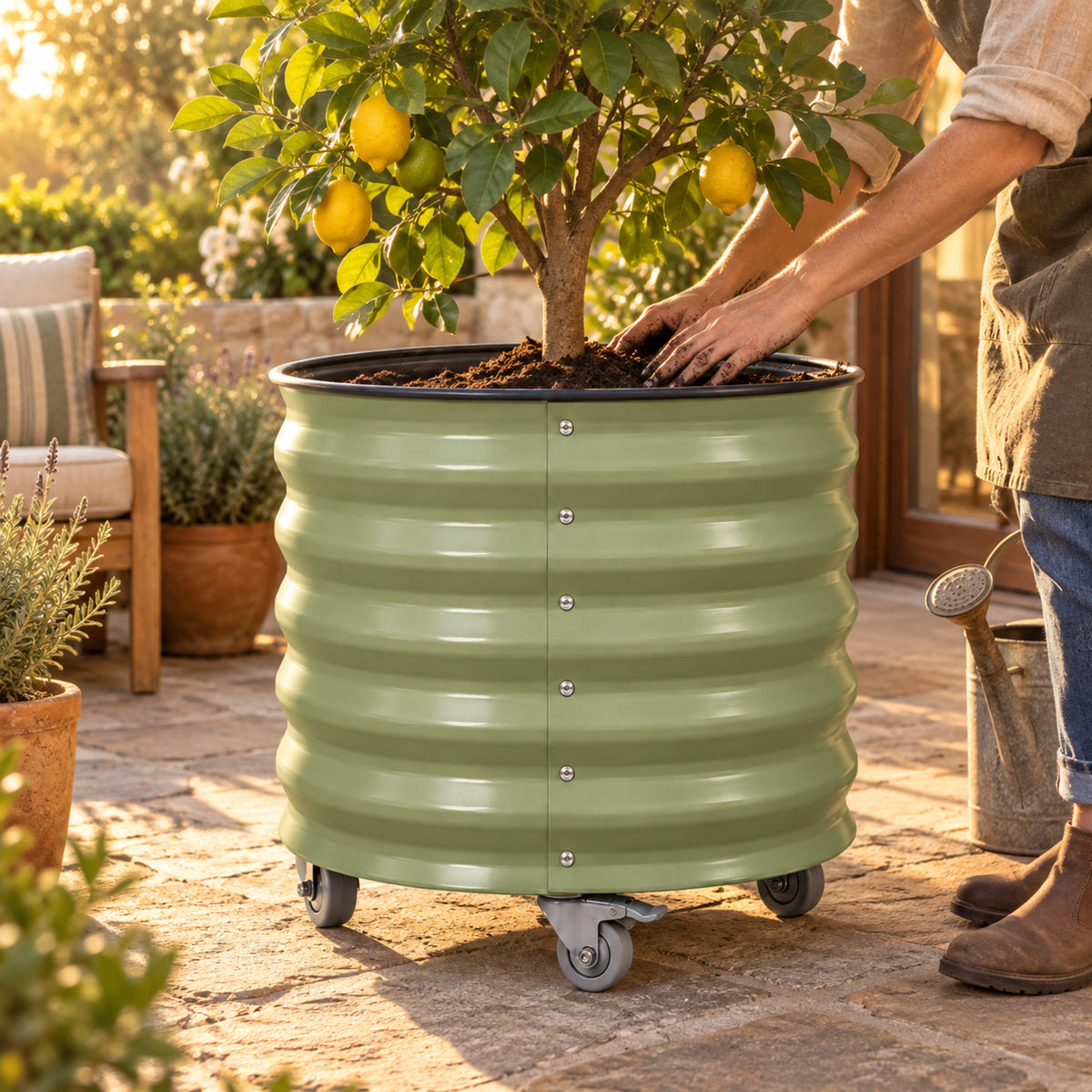 Rolling Citrus Planter, 30 Gallons in use in a home garden