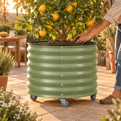 Rolling Citrus Planter, 45 Gallons in use in a home garden