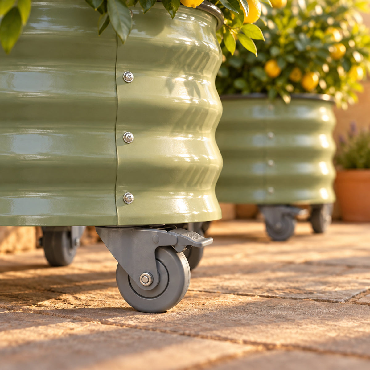 Rolling Citrus Planters, Two 20-Gallon Pots detail