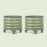 Rolling Citrus Planters, Two 20-Gallon Pots on a soft green background