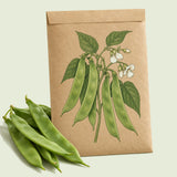 Kraft seed packet illustrated with Roma II Bush Bean, with fresh Roma II Bush Bean beside it