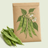 Kraft seed packet illustrated with Roma II Bush Bean, with fresh Roma II Bush Bean beside it
