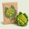 Kraft seed packet illustrated with Romanesco Cauliflower, with fresh Romanesco Cauliflower beside it