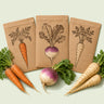 Kraft seed packet illustrated with Root Vegetable Seed Bundle, with fresh Root Vegetable Seed Bundle beside it
