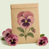 Kraft seed packet illustrated with Rose Blotch Pansy, with fresh Rose Blotch Pansy beside it