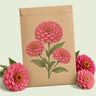 Kraft seed packet illustrated with Rose Zinnia, with fresh Rose Zinnia beside it