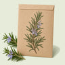 Kraft seed packet illustrated with Rosemary Herb, with fresh Rosemary Herb beside it