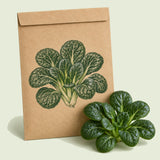 Kraft seed packet illustrated with Rosette Tatsoi Bok Choy, with fresh Rosette Tatsoi Bok Choy beside it