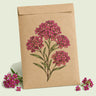 Kraft seed packet illustrated with Rosie O'Day Sweet Alyssum, with fresh Rosie O'Day Sweet Alyssum beside it