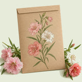 Kraft seed packet illustrated with Rosy Cheek Clarkia, with fresh Rosy Cheek Clarkia beside it