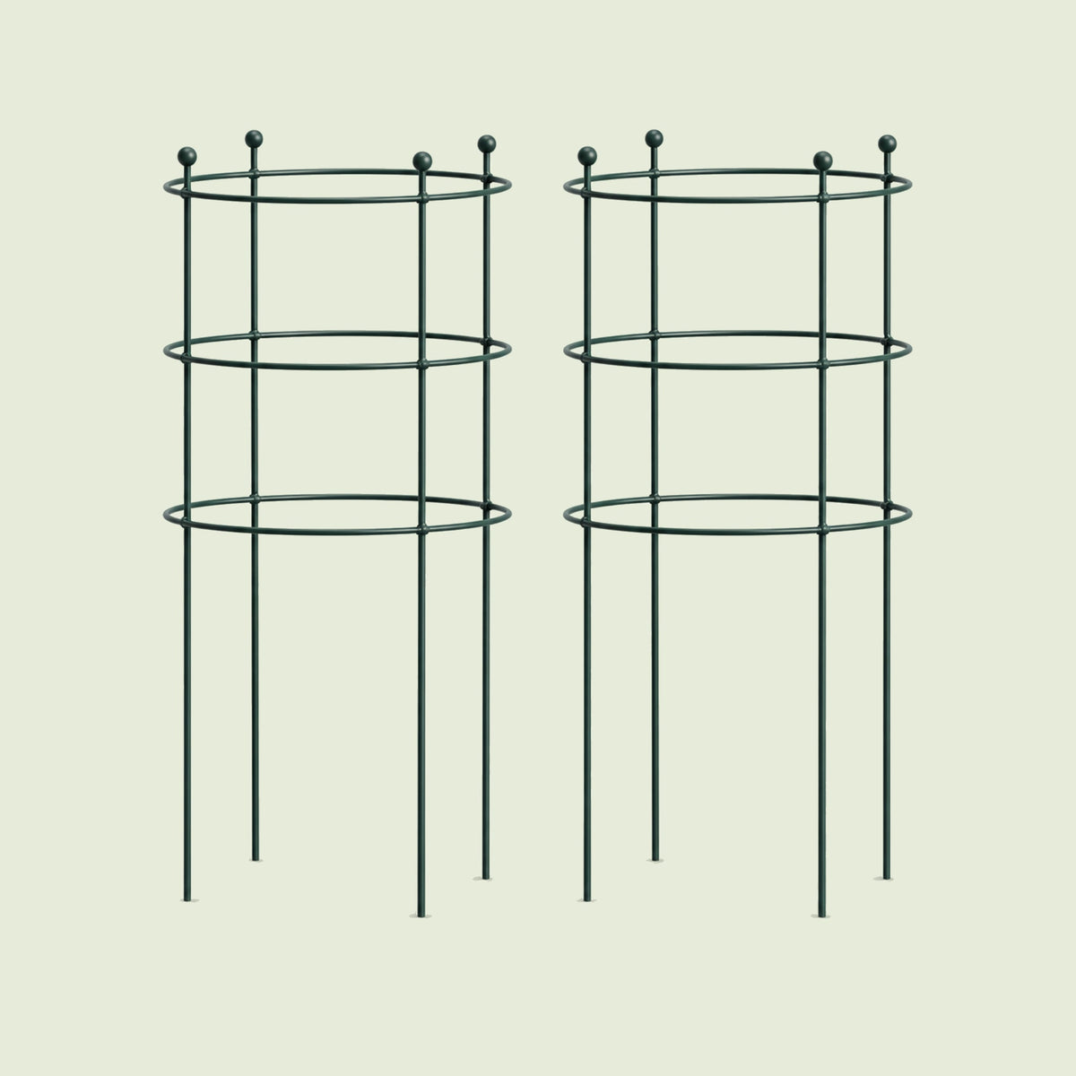 Round Flower Support Cage, 2 Pack on a soft green background