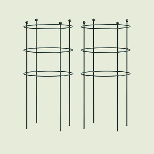 Round Flower Support Cage, 2 Pack on a soft green background