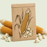 Kraft seed packet illustrated with Round Kernel Popcorn, with fresh Round Kernel Popcorn beside it
