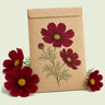 Kraft seed packet illustrated with Rubenza Cosmos, with fresh Rubenza Cosmos beside it
