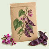 Kraft seed packet illustrated with Ruby Moon Hyacinth Bean, with fresh Ruby Moon Hyacinth Bean beside it
