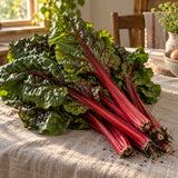 Ruby Red Swiss Chard Seeds harvest up close