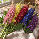 Russell Lupine Blend Seeds harvest up close