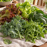 Salad Greens Seed Bundle harvest up close