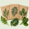 Kraft seed packet illustrated with Salad Greens Seed Bundle, with fresh Salad Greens Seed Bundle beside it