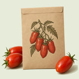 Kraft seed packet illustrated with San Marzano Roma Tomato, with fresh San Marzano Roma Tomato beside it