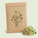 Kraft seed packet illustrated with Sandwich Sprout Mix, with fresh Sandwich Sprout Mix beside it