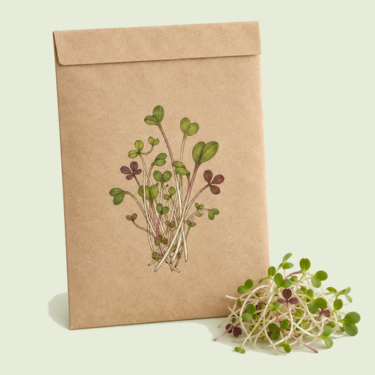 Kraft seed packet illustrated with Sandwich Sprout Mix, with fresh Sandwich Sprout Mix beside it