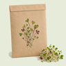 Kraft seed packet illustrated with Sandwich Sprout Mix, with fresh Sandwich Sprout Mix beside it