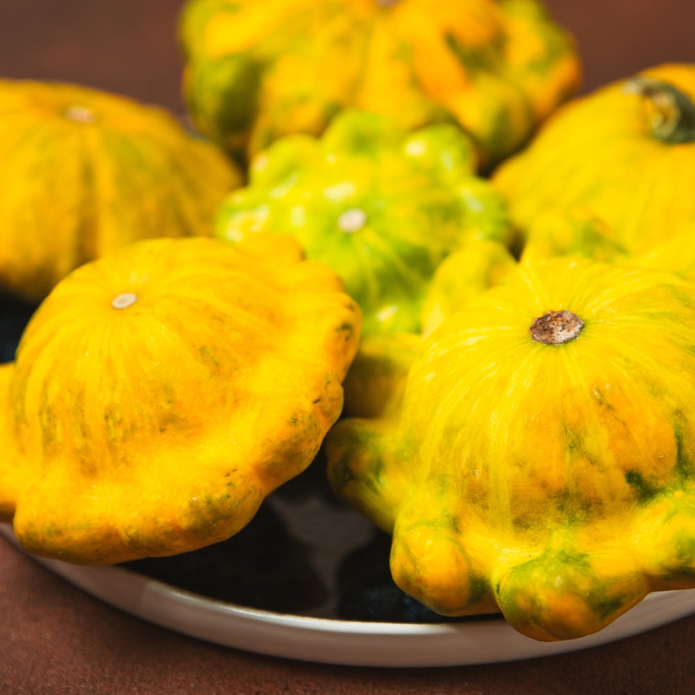 Scallop Summer Squash Blend seeds