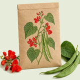 Kraft seed packet illustrated with Scarlet Emperor Runner Bean, with fresh Scarlet Emperor Runner Bean beside it