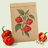 Kraft seed packet illustrated with Scotch Bonnet Chile Pepper, with fresh Scotch Bonnet Chile Pepper beside it