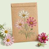 Kraft seed packet illustrated with Sea Shells Blend Cosmos, with fresh Sea Shells Blend Cosmos beside it