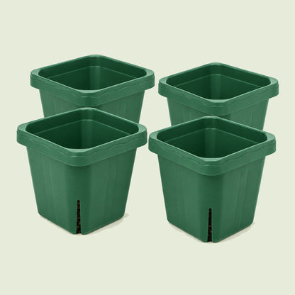 Seedling Pots, 5 x 5 Inches, 4 Pack on a soft green background