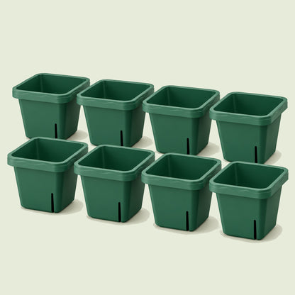Seedling Pots, 5 x 5 Inches, 8 Pack on a soft green background