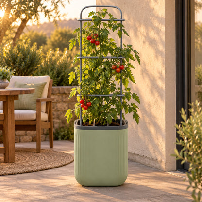 Self-Watering Tomato Planter with Adjustable Trellis in use in a home garden