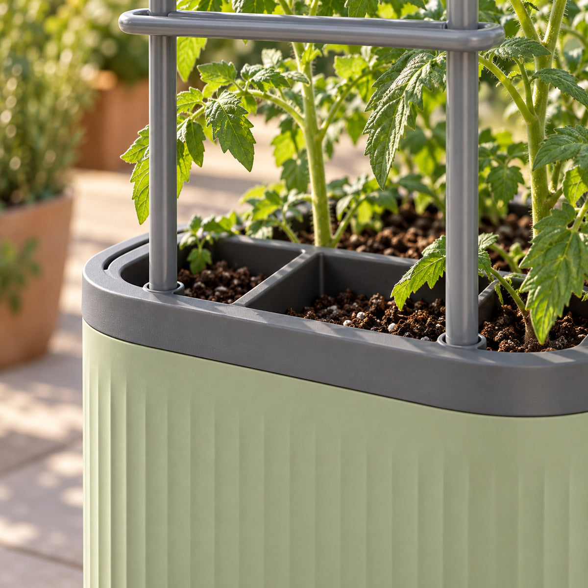 Self-Watering Tomato Planter with Adjustable Trellis detail
