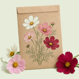 Kraft seed packet illustrated with Sensation Blend Cosmos, with fresh Sensation Blend Cosmos beside it