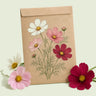 Kraft seed packet illustrated with Sensation Blend Cosmos, with fresh Sensation Blend Cosmos beside it